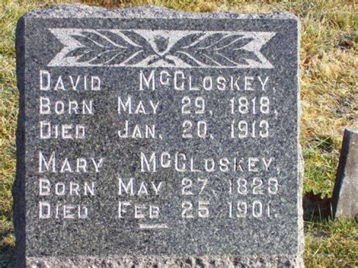 5 Surprising Secrets About Mollie Mann You Never Knew