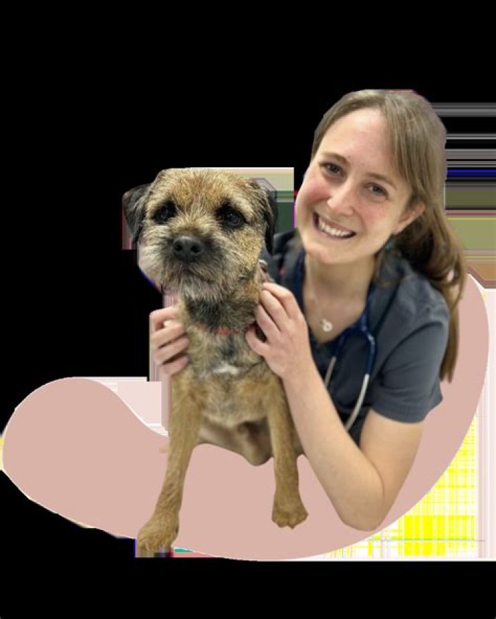 Akron's Premier Pet Destination: PetPeople
