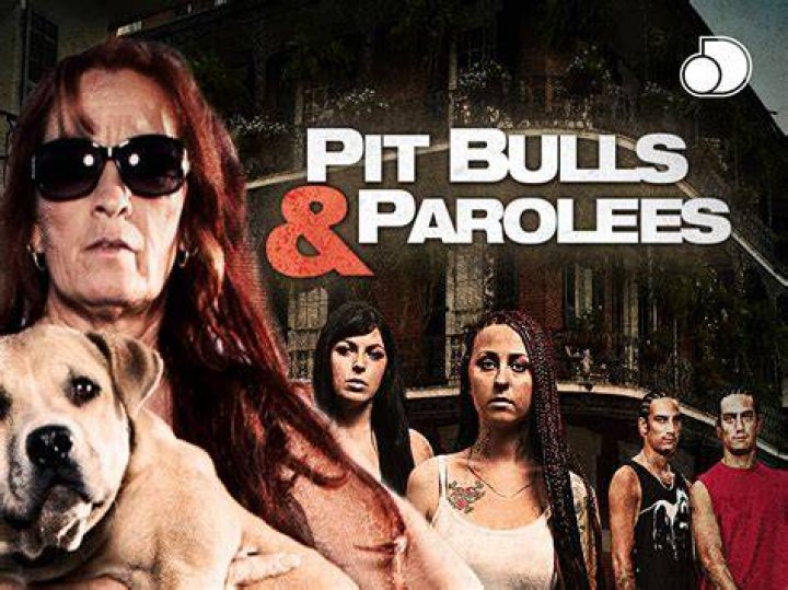 Buckle Up For Thrilling Pitbulls And Parolees Season 8