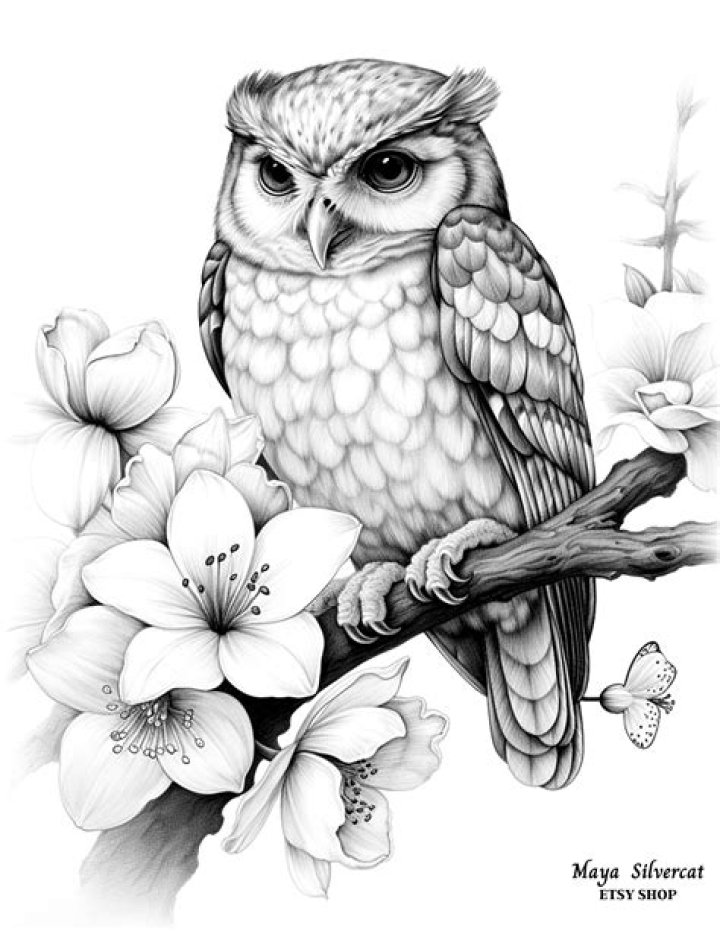 Creative "Owl Drawing Abstract" For Artistic Inspiration