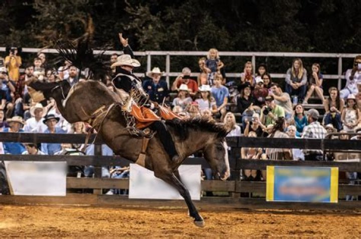 Discover The Excitement: Fredericktown Rodeo Extravaganza