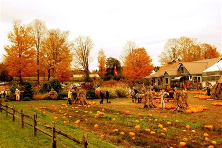 Fall Farm Images: A Colorful Symphony Of Autumn