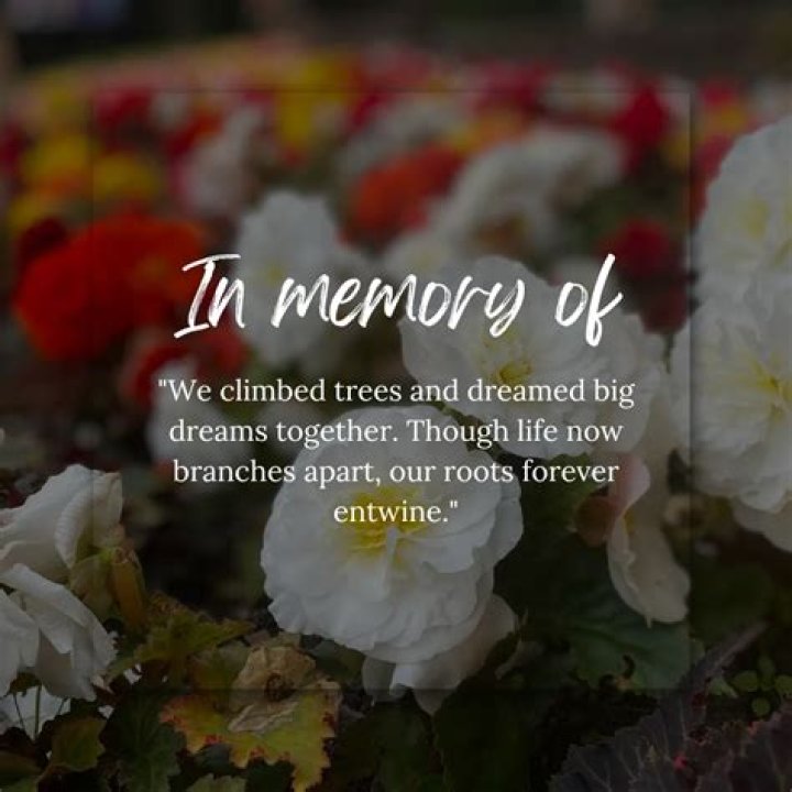 In Memorium: Remembering Michael Simari's Life And Legacy