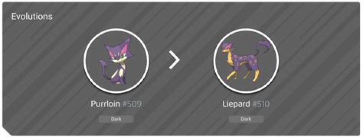 Is Purrloin Shiny Available In Pokmon GO?