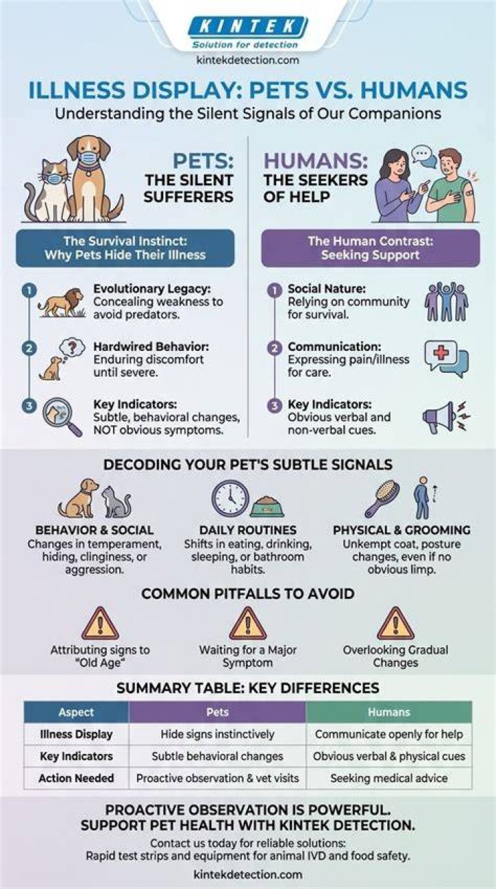 Is Your Cat Tater Showing Signs Of Illness? Get The Facts