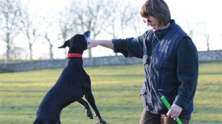 Mark Terhune: Renowned Animal Behaviorist And Author