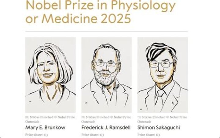 Professor Sturgis: A Nobel Laureate In Medicine