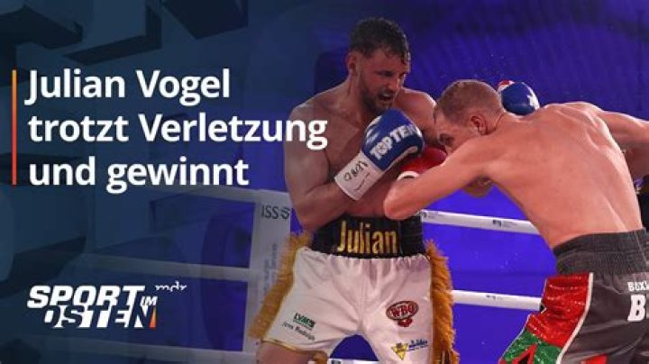 Renowned Pugilist: Exploring The Career Of Julian Vogel, The Boxer