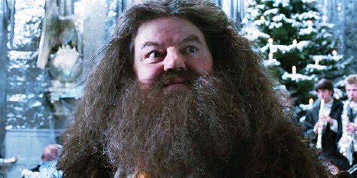 Stunning Picture Of Hagrid: A Magical Memory
