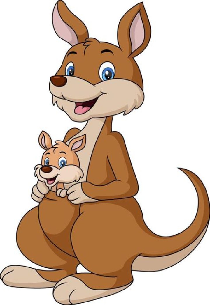 The Ultimate Guide To Kangaroo Joey Cartoons: Discover Your Favorite Characters Today!
