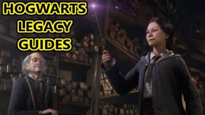 The Ultimate Guide To Money Glitches In Hogwarts Legacy