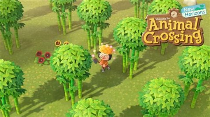 The Ultimate Guide To Obtaining Bamboo Shoots In Animal Crossing: New Horizons