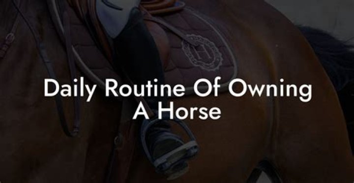 The Ultimate Guide To Owning A Pair Of Horses