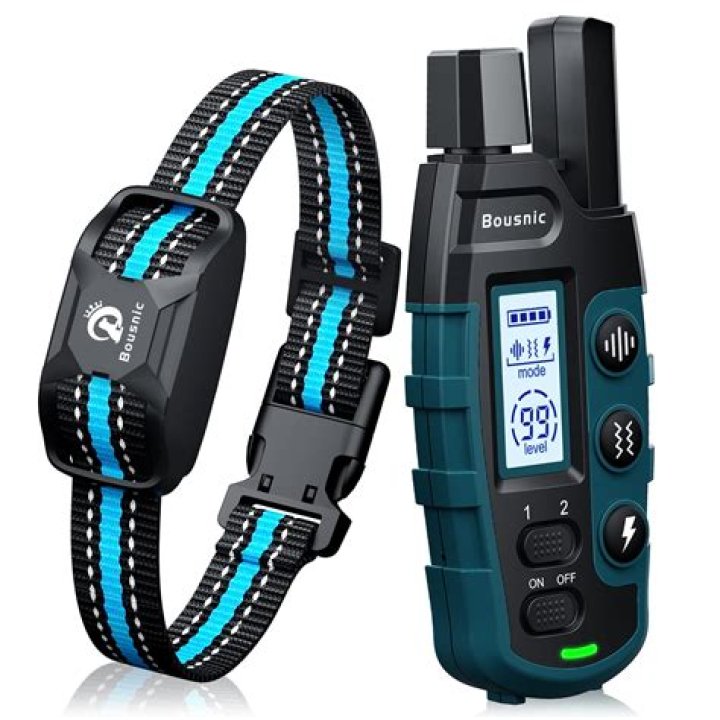 The Ultimate Guide To The Best Shock Collars For Enhanced Human Performance