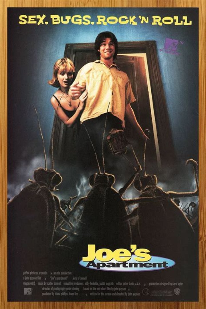 The Ultimate Joe's Chili: A Tastebud Adventure