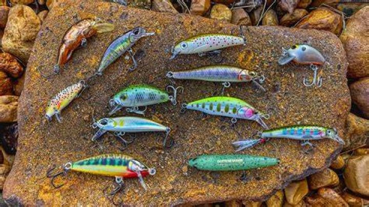 Top-notch Trout Lure: Discover The Ultimate Parker Roe Experience