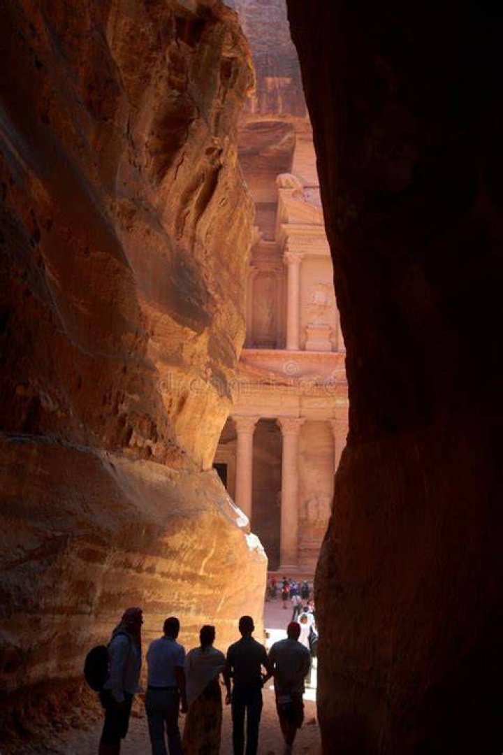 Uncovering The Secrets Of The Ancient Arab Tree