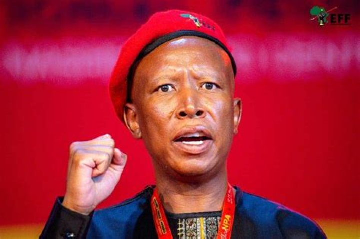Unveiling Malema's Marital Status: A Comprehensive Guide To His Wives