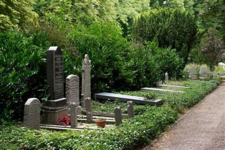 Vancouver's Historic And Serene Cemeteries
