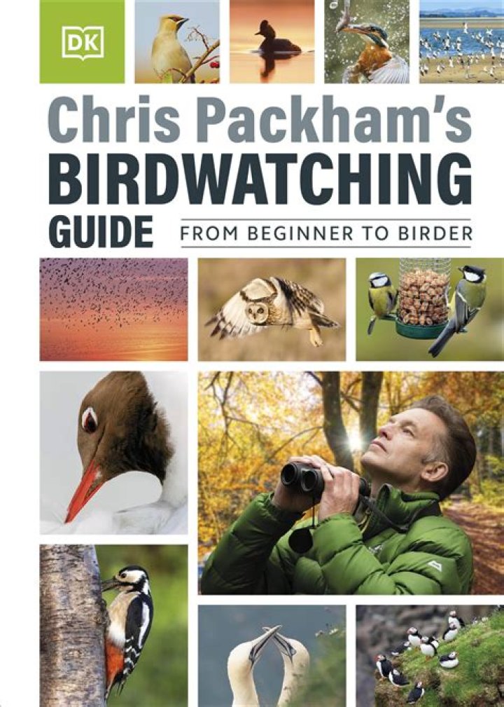 Weyman Rooks: Birdwatching Guide, Identification, And Behavior