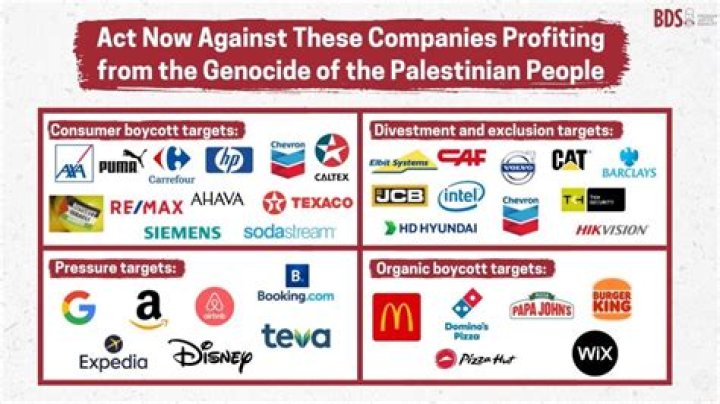 Your Comprehensive Guide To The 2023 Disney Boycott For Palestine